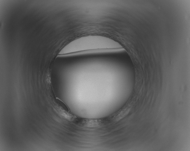 X0000074230384200608250823