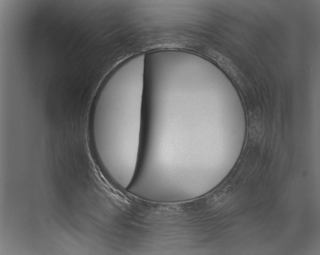 X0000074230386200608250822