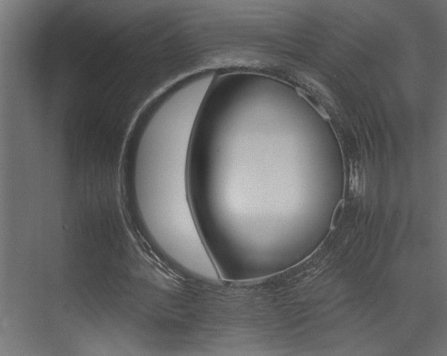 X0000074230388200608250822