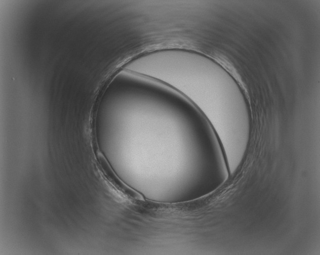 X0000074230389200608250822