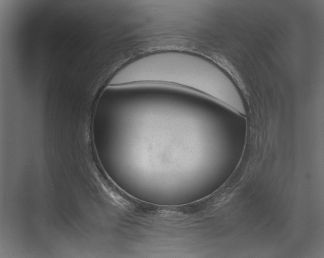 X0000074230393200608250822