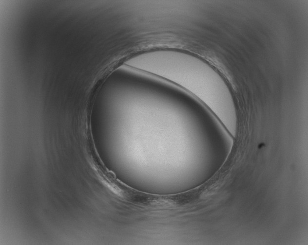 X0000074230397200608250822