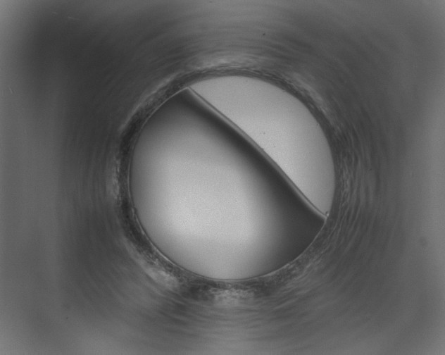 X0000074230400200608250821