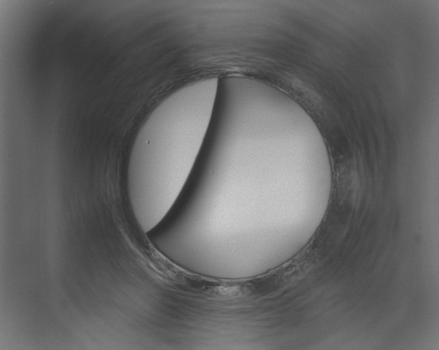 X0000074230406200608250821