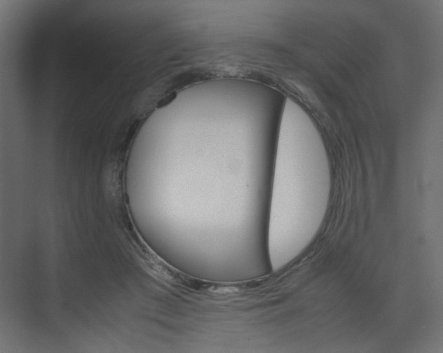 X0000074230409200608250821