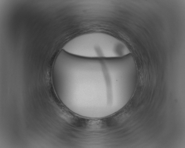 X0000074230410200608250821