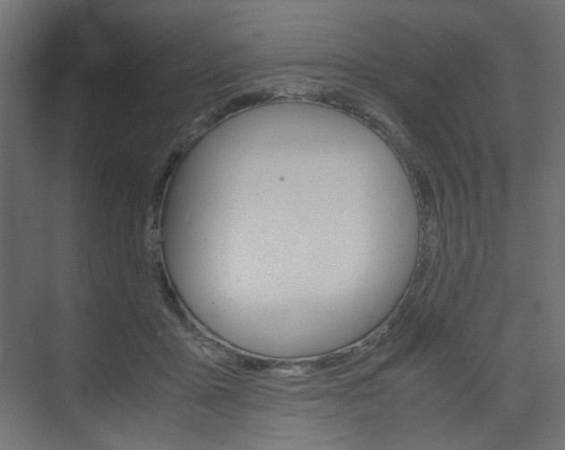 X0000074230411200608250821