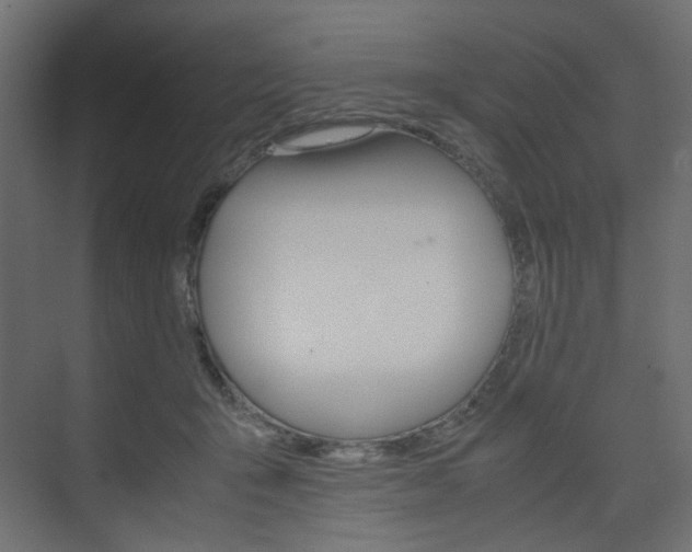 X0000074230415200608250821