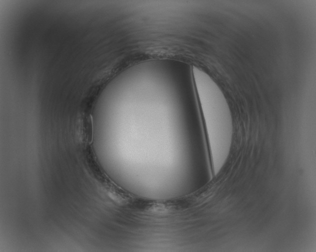 X0000074230416200608250821