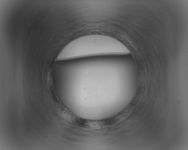 X0000074230417200608250821