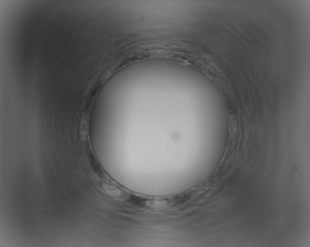 X0000074230419200608250821