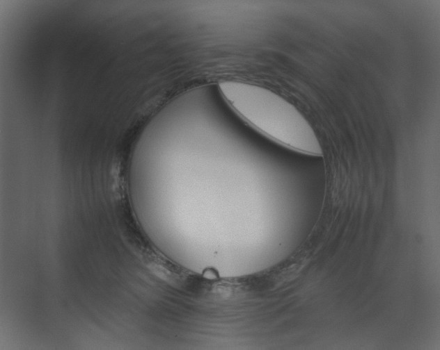 X0000074230420200608250821