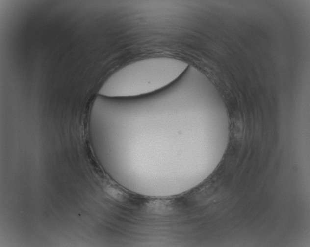 X0000074230422200608250821