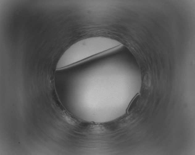 X0000074230424200608250821