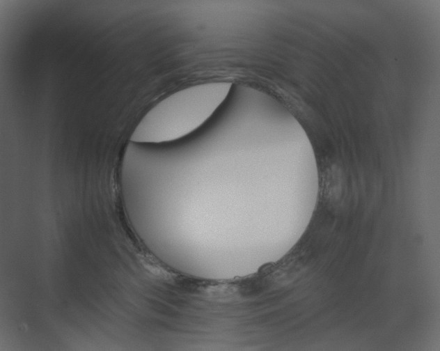 X0000074230426200608250821