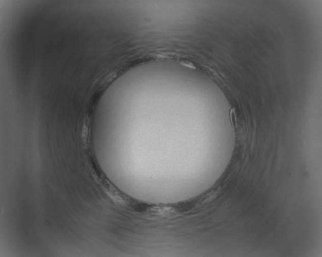 X0000074230427200608250821