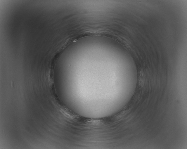X0000074230428200608250821
