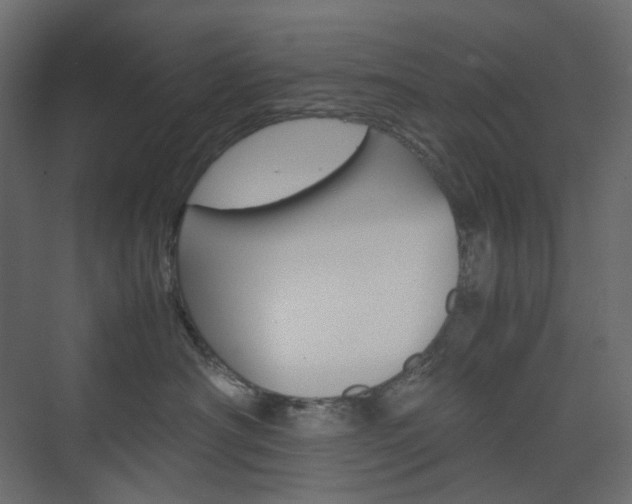 X0000074230430200608250821