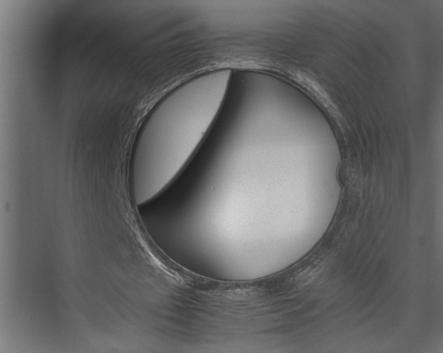 X0000074230433200608250820
