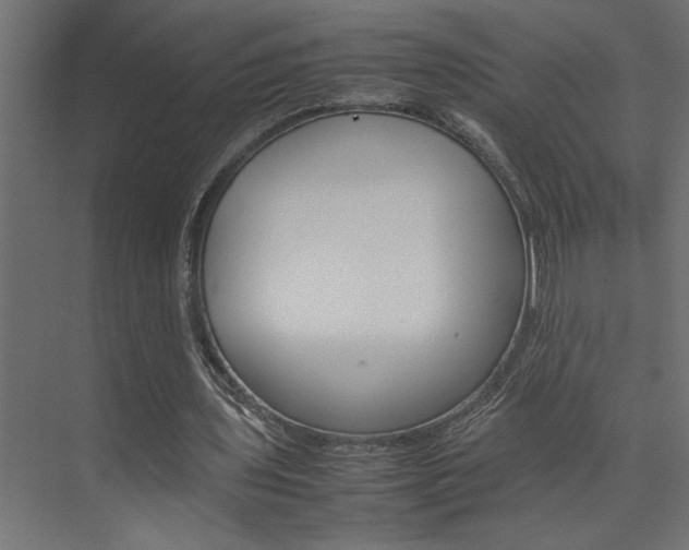 X0000074230435200608250820