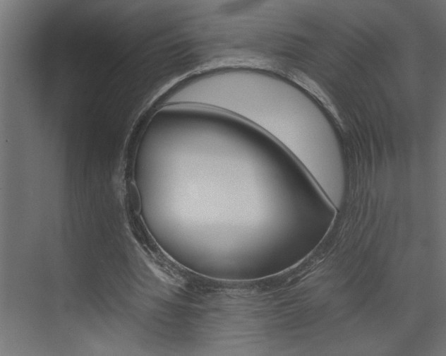 X0000074230436200608250820