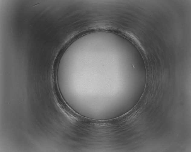 X0000074230439200608250820