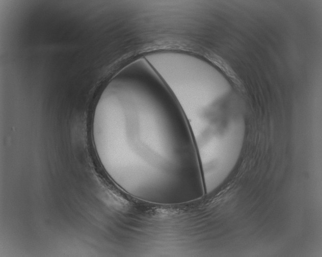 X0000074230442200608250820