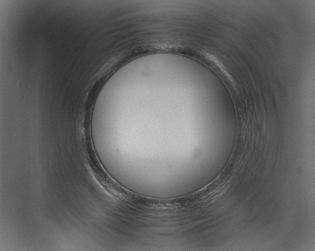 X0000074230443200608250820