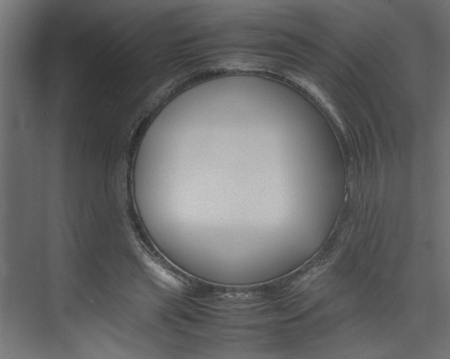 X0000074230445200608250820