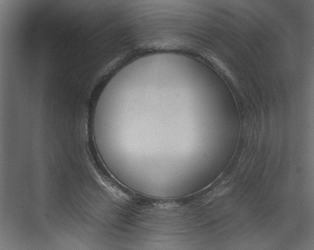 X0000074230446200608250820