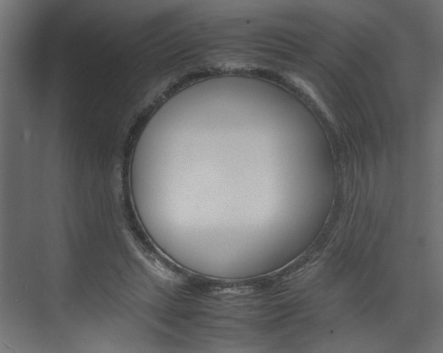 X0000074230447200608250820