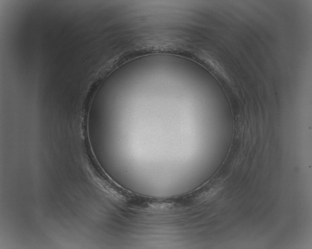 X0000074230450200608250820