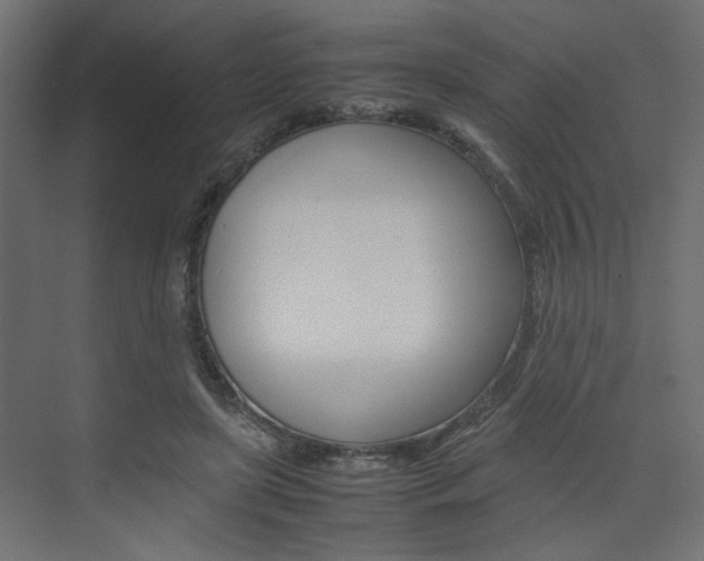 X0000074230451200608250820