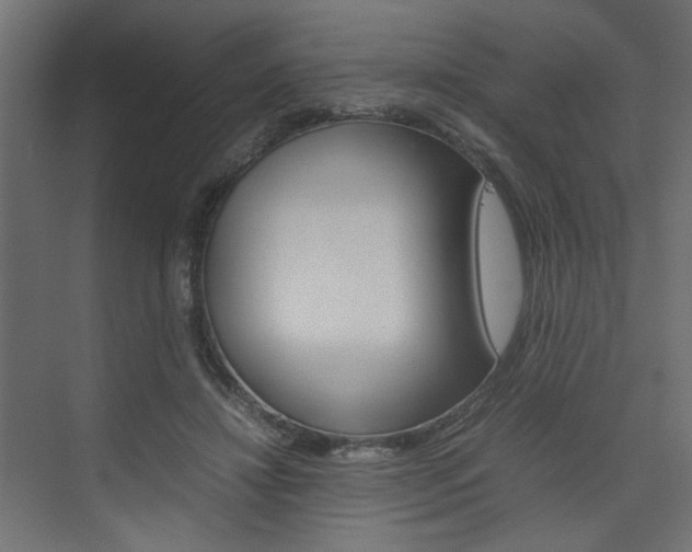 X0000074230452200608250820