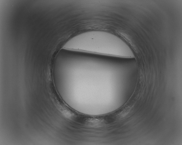 X0000074230453200608250820
