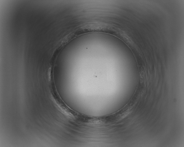 X0000074230454200608250820