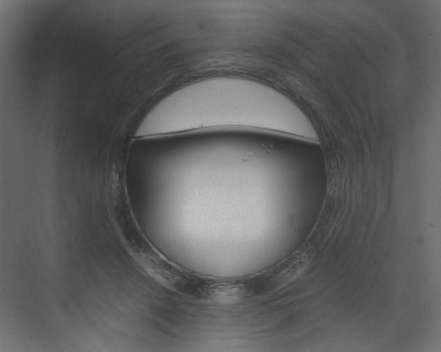 X0000074230456200608250821