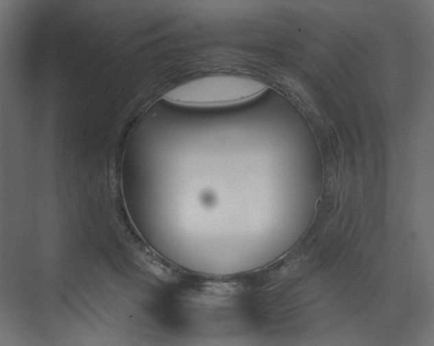 X0000074230457200608250821