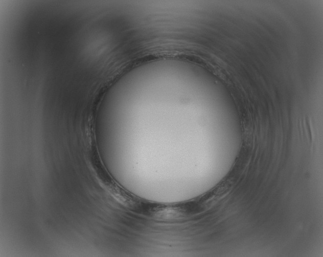 X0000074230460200608250821
