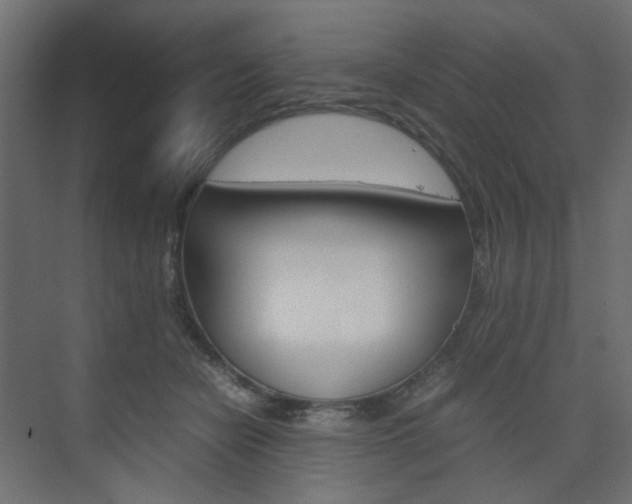 X0000074230462200608250821