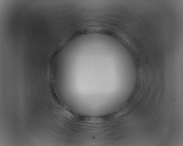 X0000074230463200608250821