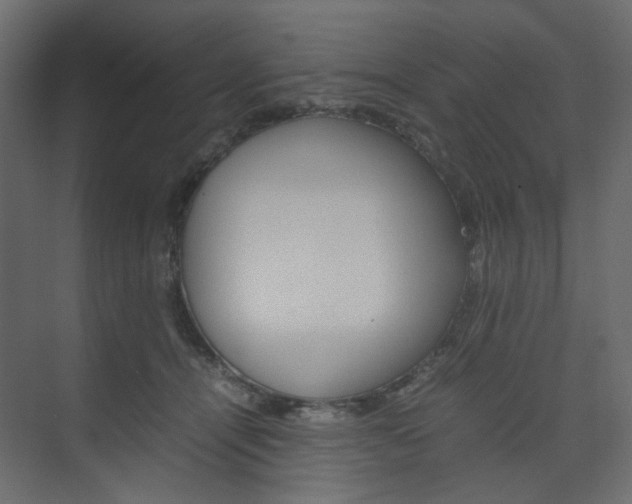 X0000074230464200608250821