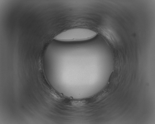 X0000074230465200608250821