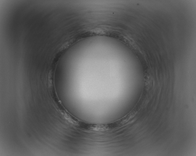 X0000074230466200608250821