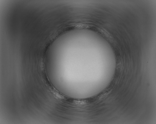 X0000074230469200608250821