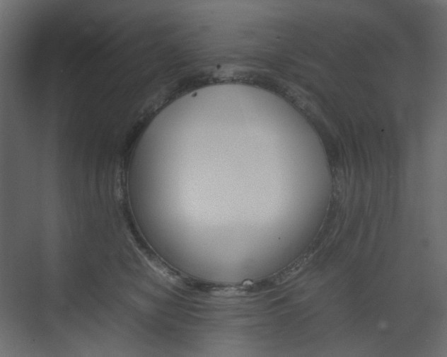 X0000074230470200608250821