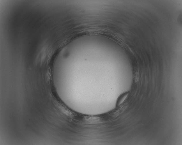 X0000074230476200608250821
