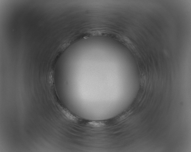 X0000074230477200608250821