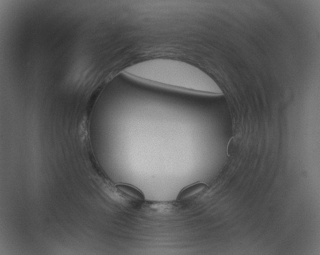 X0000074230478200608250821