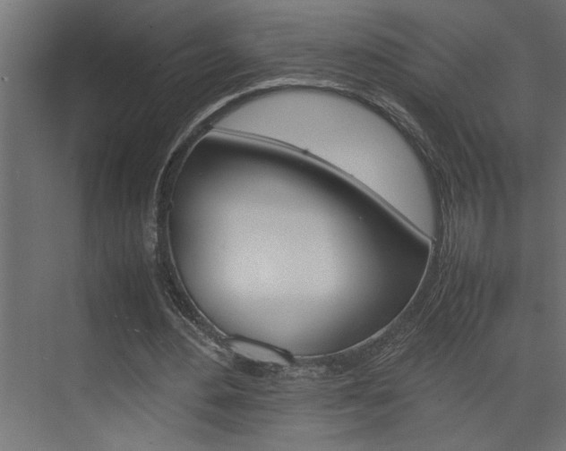 X0000074230484200608250820